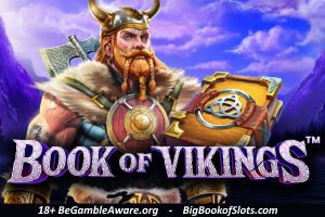 Book of Vikings Review